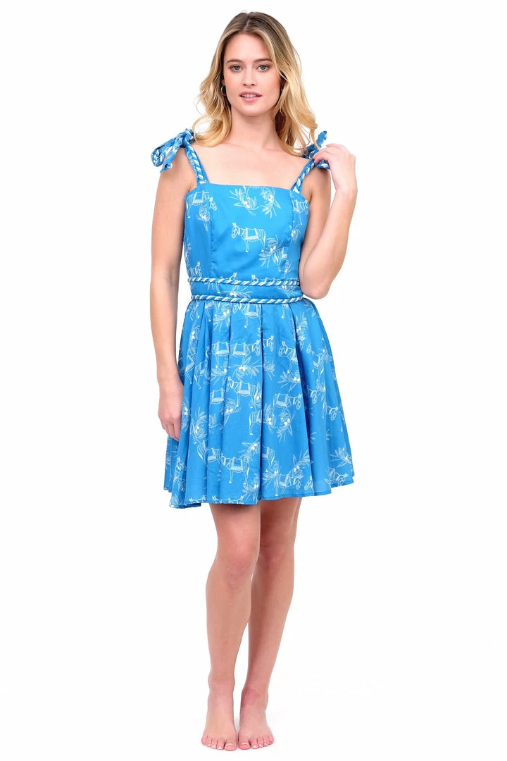 Azulu Dresses Blue El Burro Mini Dress 10 Azulu Dresses Blue El Burro Mini Dress