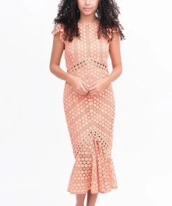 Saylor Floral Lace Dress With Cap Sleeves Dresses