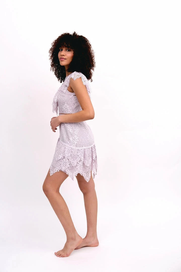 Saylor Dresses Flutter Lace Dress 7 Saylor Dresses Flutter Lace Dress