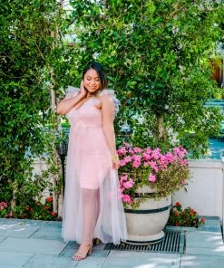 Pho Dresses Blush Pink Ruffled Tulle Dress