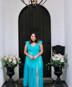 Pho Blue Ruffled Tulle Dress