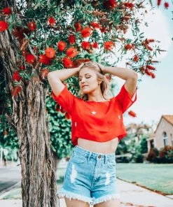 EastNWest Label Tops Star Mesh T-Shirt Red