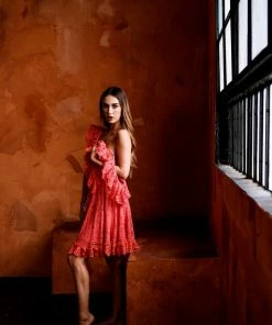 Pho Dresses Coral Lace And Ruffle Dress