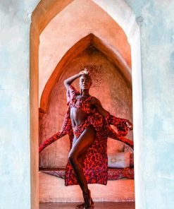 Aguaclara Tops Red Leopard Tunic Coverup