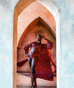 Aguaclara Tops Red Leopard Tunic Coverup